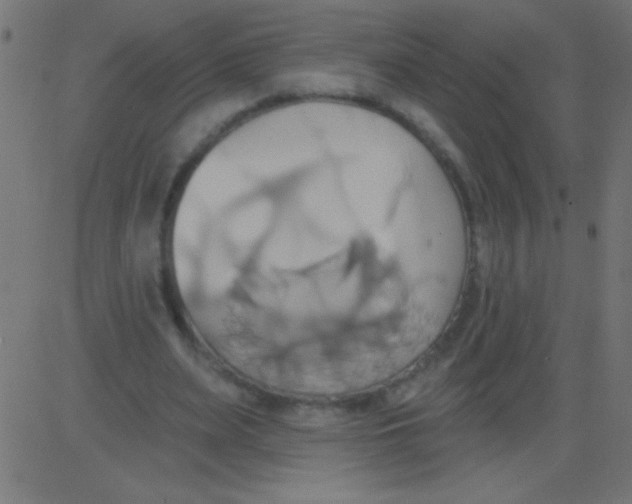 X0000081300487200702012313