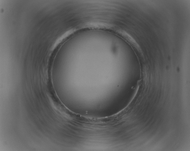 X0000081300488200702012313