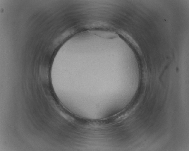 X0000081300489200702012313