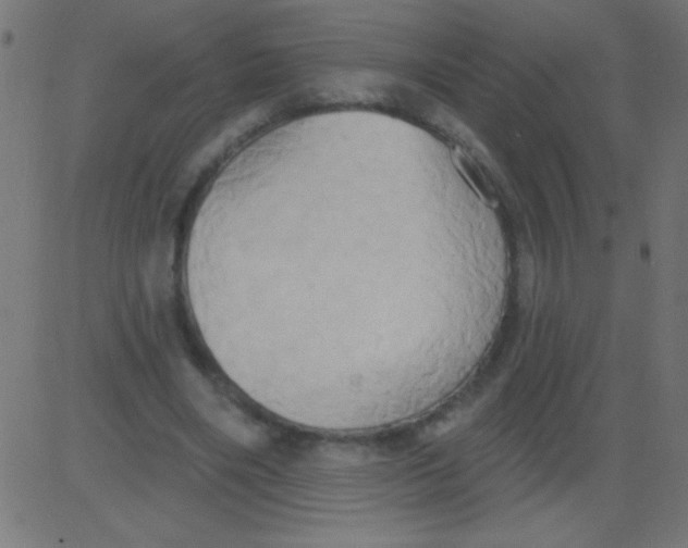 X0000081300490200702012313