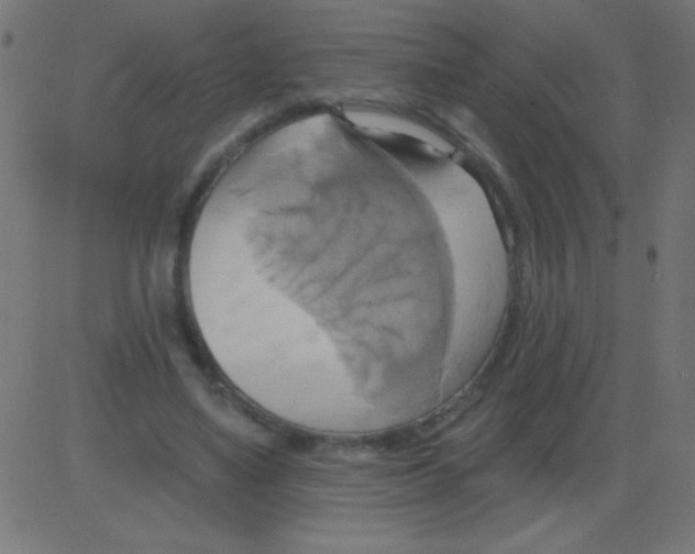 X0000081300491200702012313