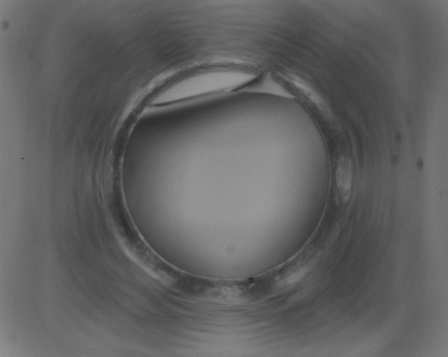 X0000081300492200702012313