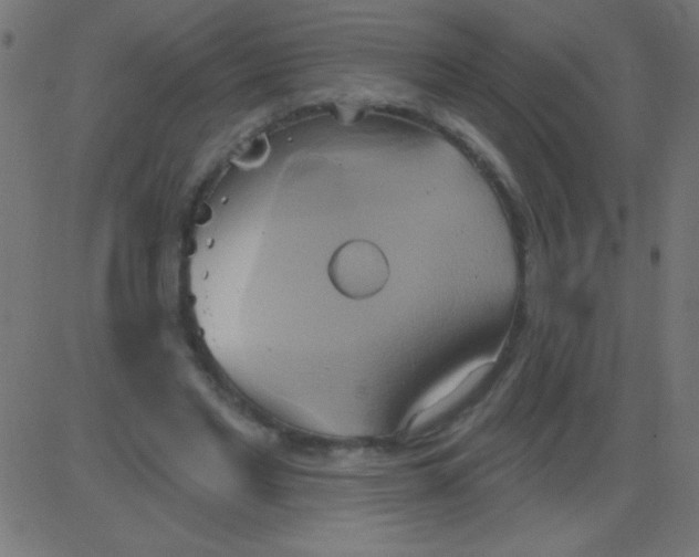 X0000081300493200702012313