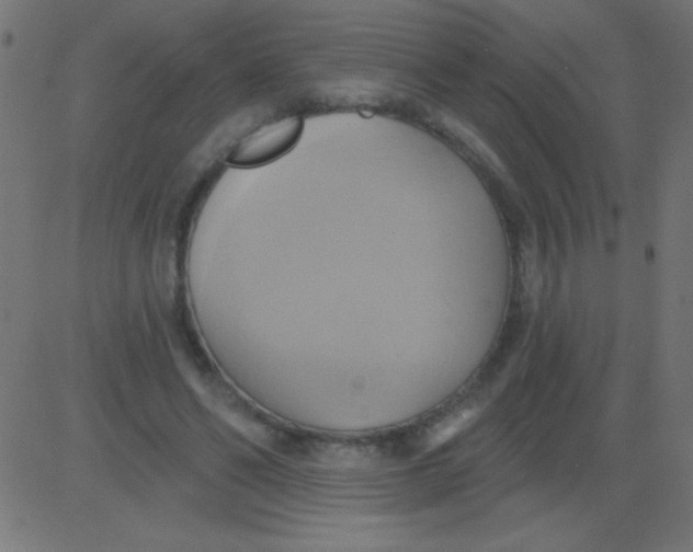 X0000081300494200702012313