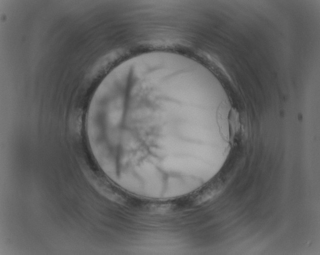 X0000081300495200702012313