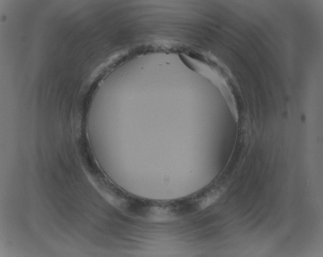 X0000081300496200702012313