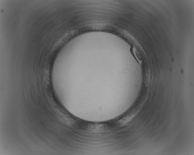 X0000081300497200702012313