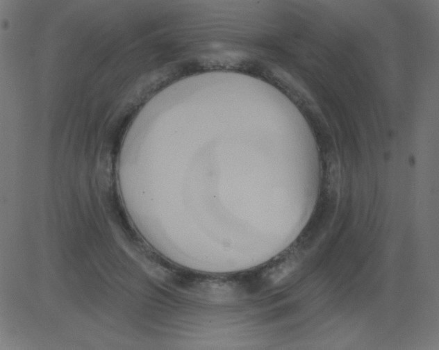 X0000081300498200702012313