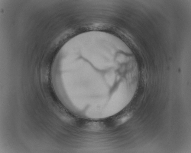 X0000081300499200702012313