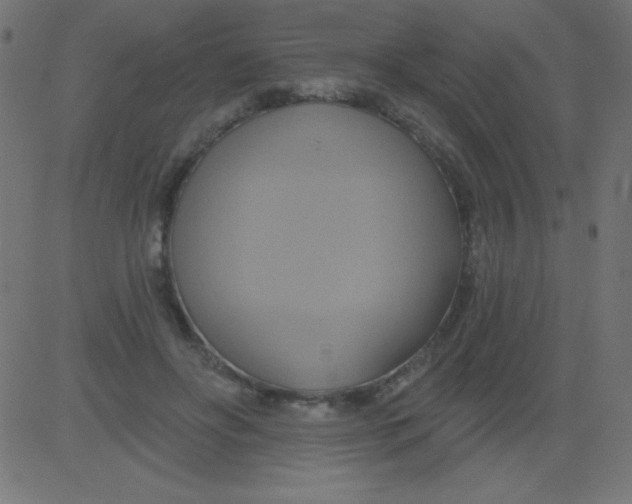 X0000081300502200702012313