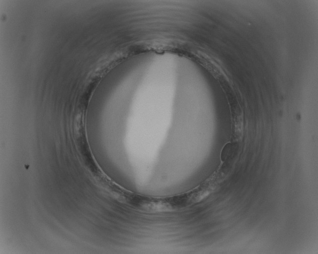 X0000081300503200702012313