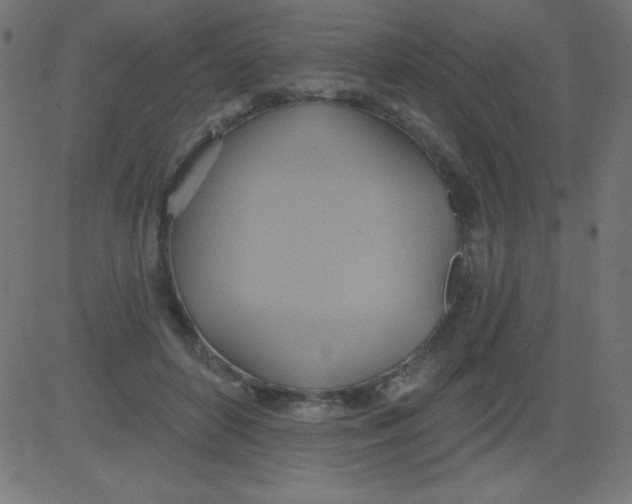 X0000081300504200702012313