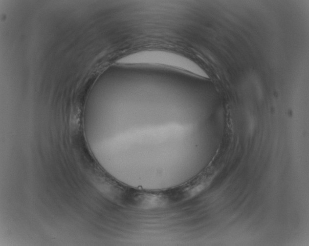 X0000081300507200702012313