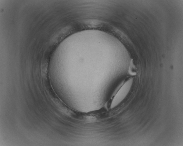 X0000081300509200702012313