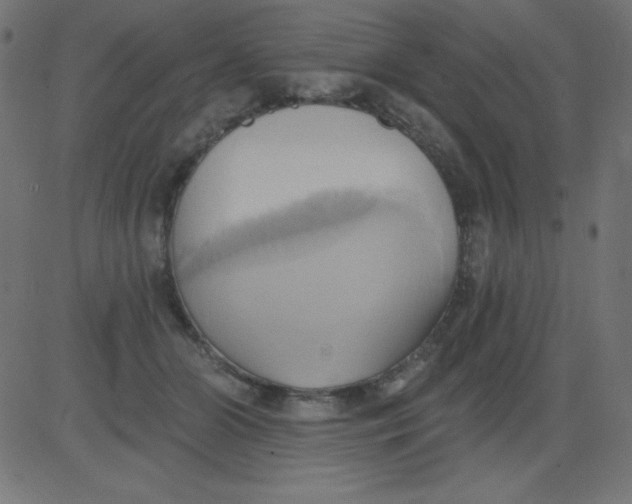 X0000081300510200702012313