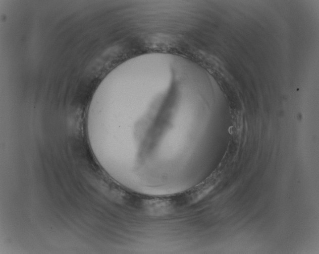 X0000081300511200702012313