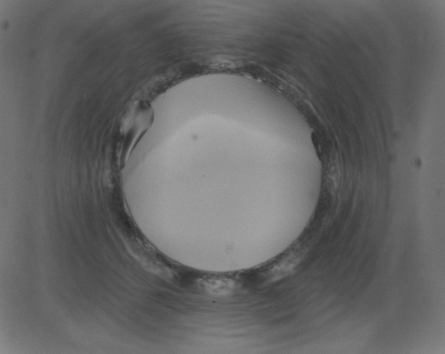 X0000081300512200702012312