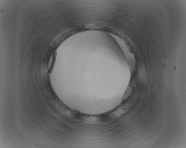 X0000081300513200702012312