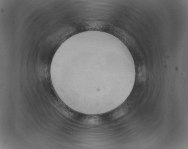 X0000081300514200702012312