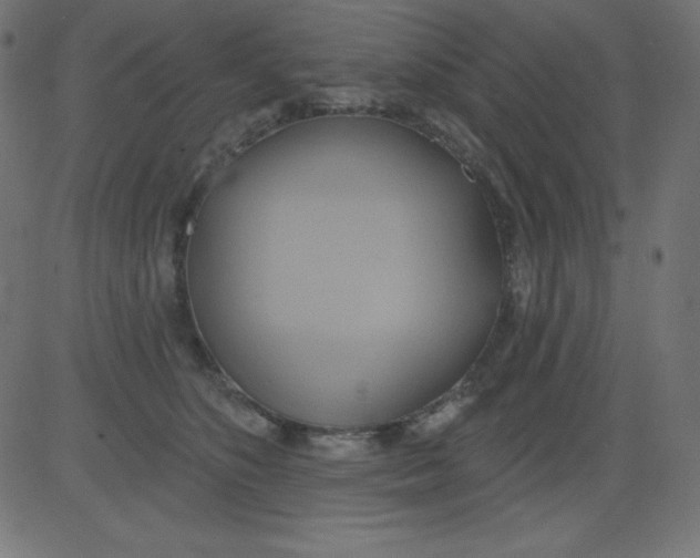 X0000081300516200702012312