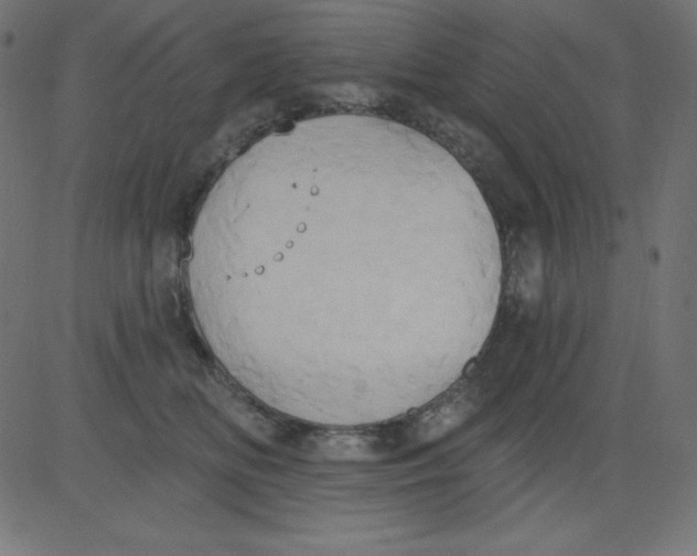 X0000081300518200702012312