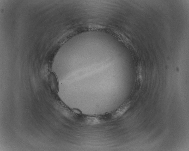 X0000081300519200702012312