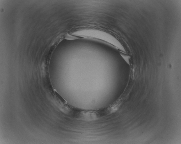 X0000081300520200702012312