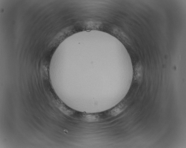 X0000081300522200702012312