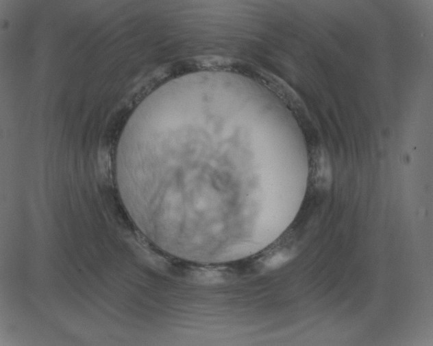 X0000081300523200702012312