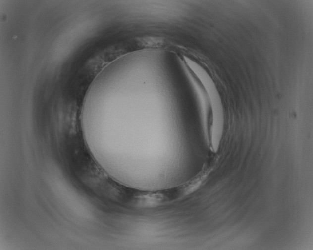 X0000081300525200702012312