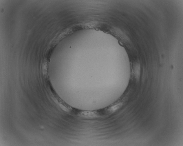 X0000081300526200702012312