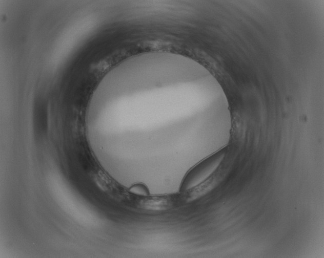 X0000081300527200702012312