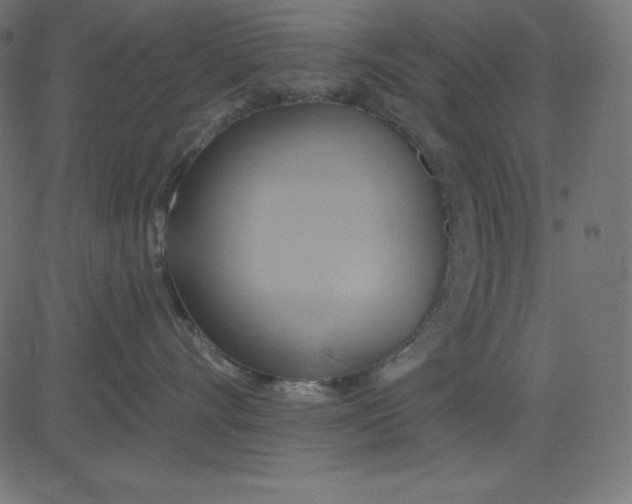 X0000081300528200702012312