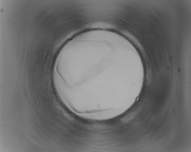 X0000081300529200702012311