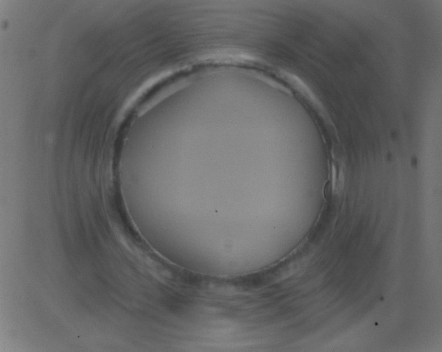 X0000081300531200702012311