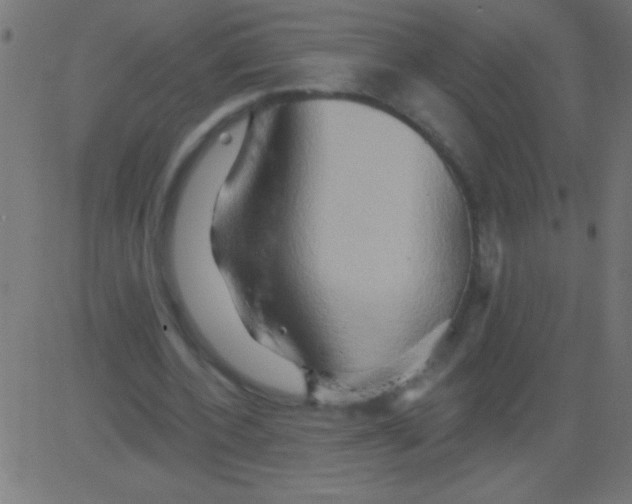 X0000081300532200702012312