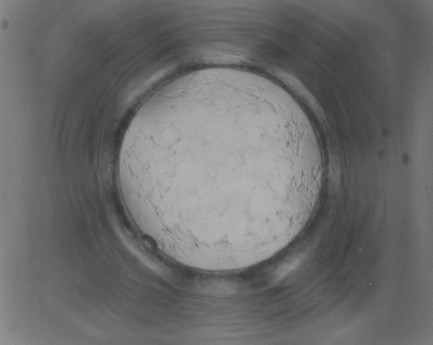 X0000081300533200702012312