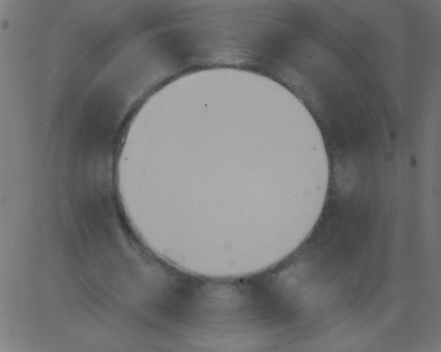 X0000081300534200702012312