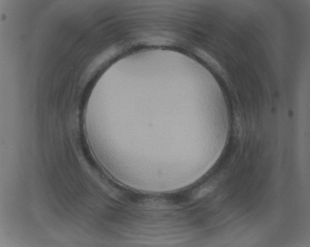 X0000081300535200702012312