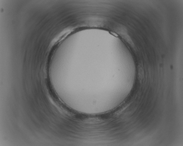 X0000081300536200702012312