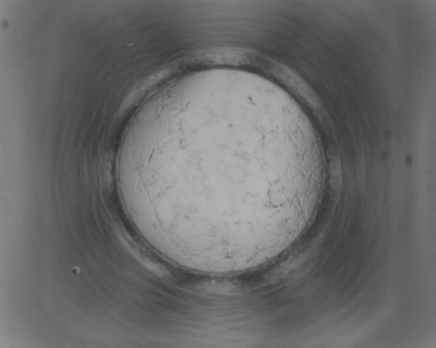 X0000081300537200702012312