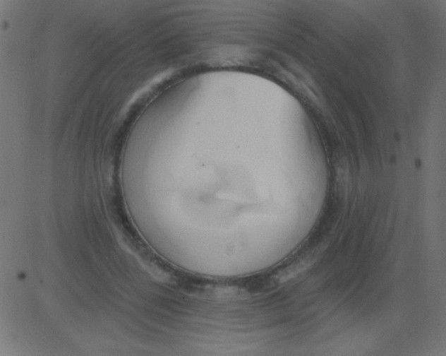 X0000081300539200702012312