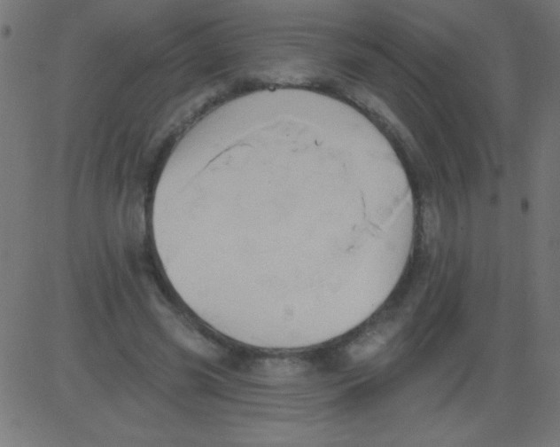 X0000081300541200702012312