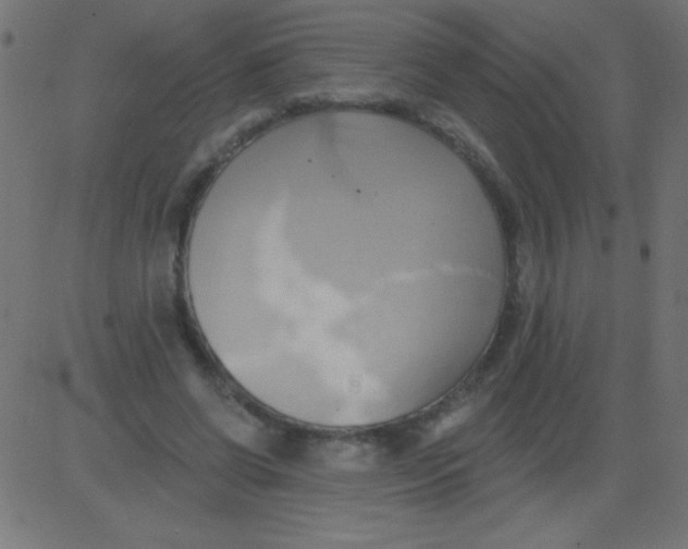 X0000081300542200702012312