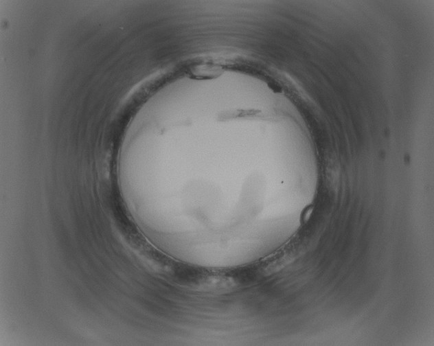 X0000081300543200702012312