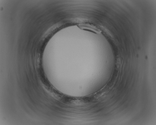 X0000081300544200702012312