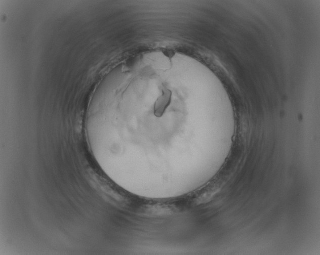 X0000081300545200702012312