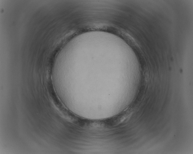 X0000081300546200702012312