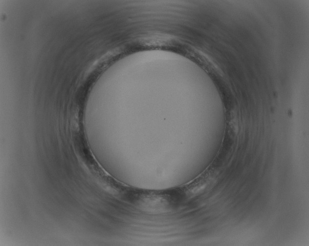 X0000081300547200702012312