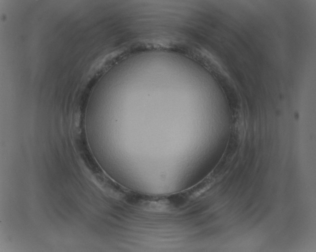 X0000081300548200702012312